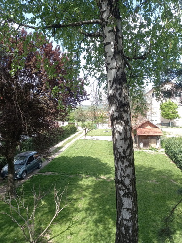 Slika 3 - Put za bošnjake 1 deo, br 9, Avala, Voždovac,  Kuća na prodaju, 200m2, 149.900€